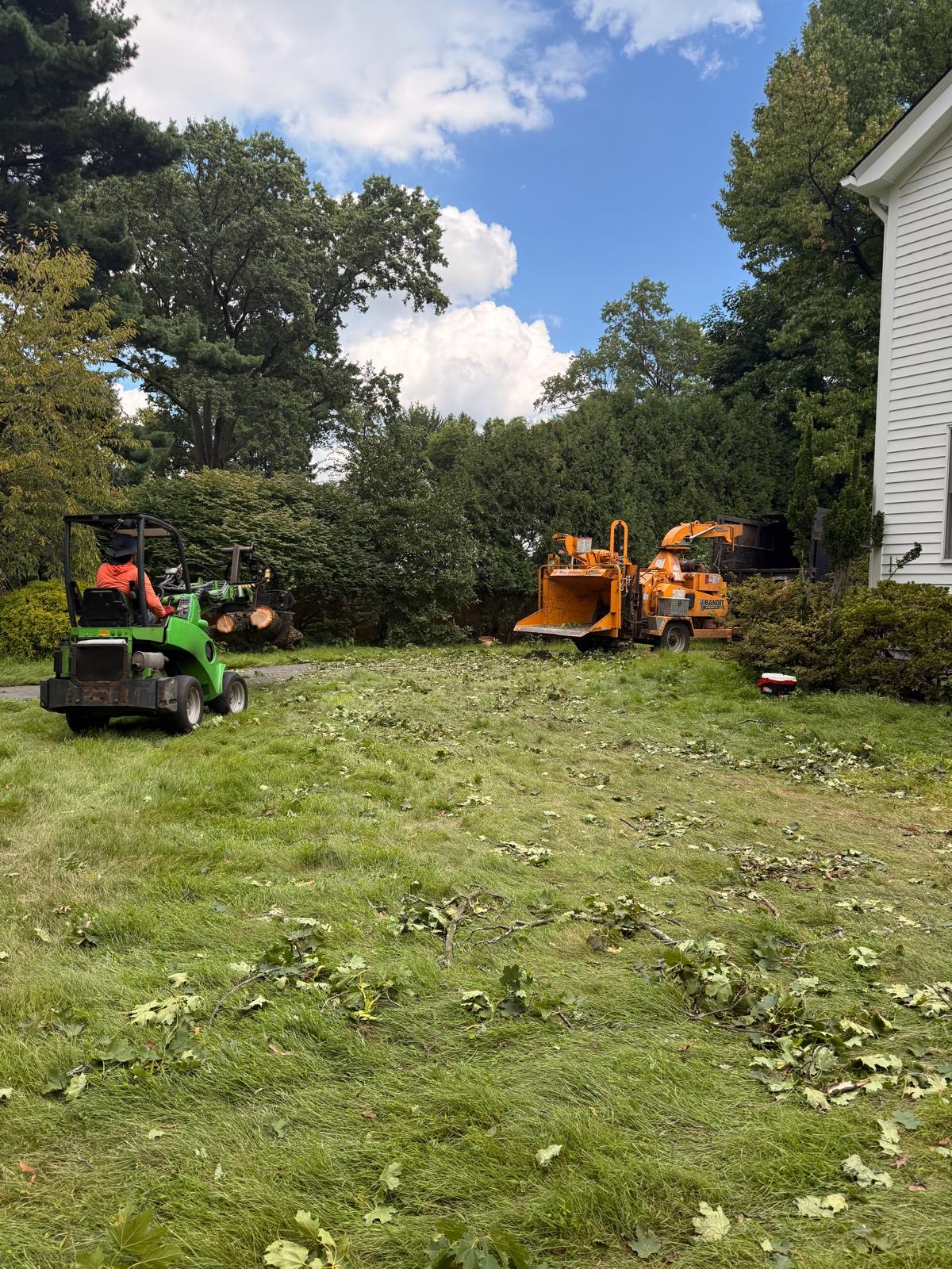 Aerial branch removal near a home in Belleville, NJ