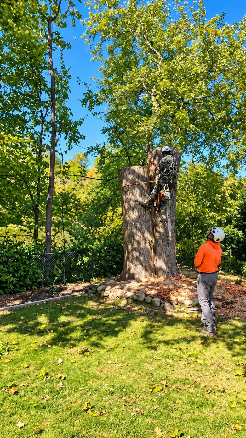 Heavy branches being lowered by crane in Montclair, NJ