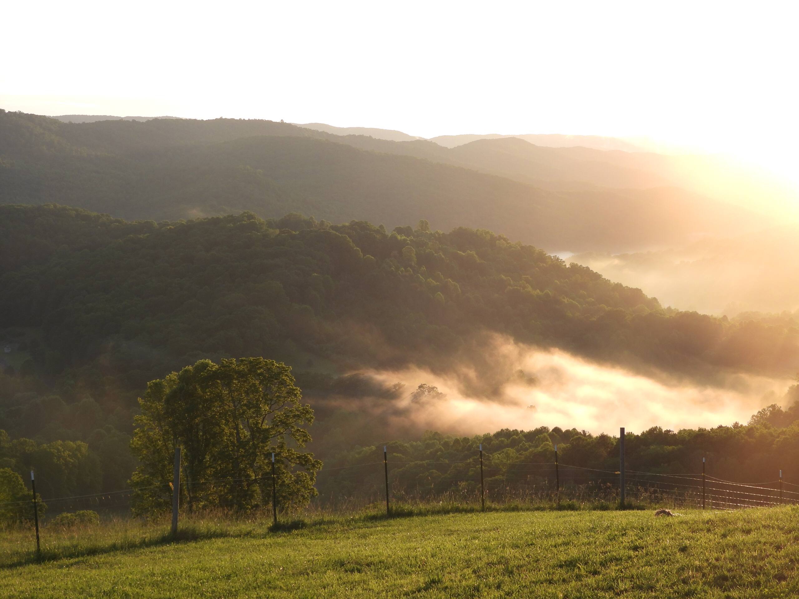 Scenic view of Pride's Mountain farm amenities including fire pit and mountain views