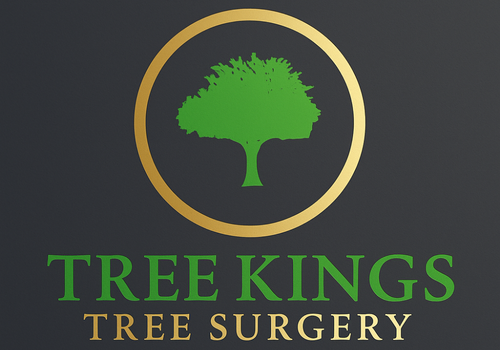 hertfordshirelandscapers.co.uk favicon