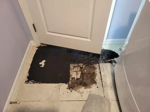 Contemporary Design Hub