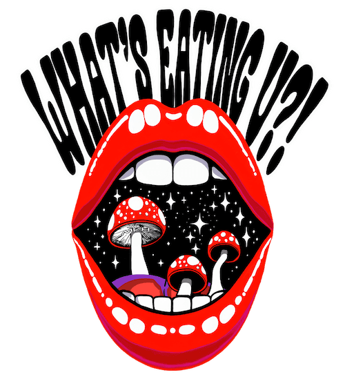 Media Logo