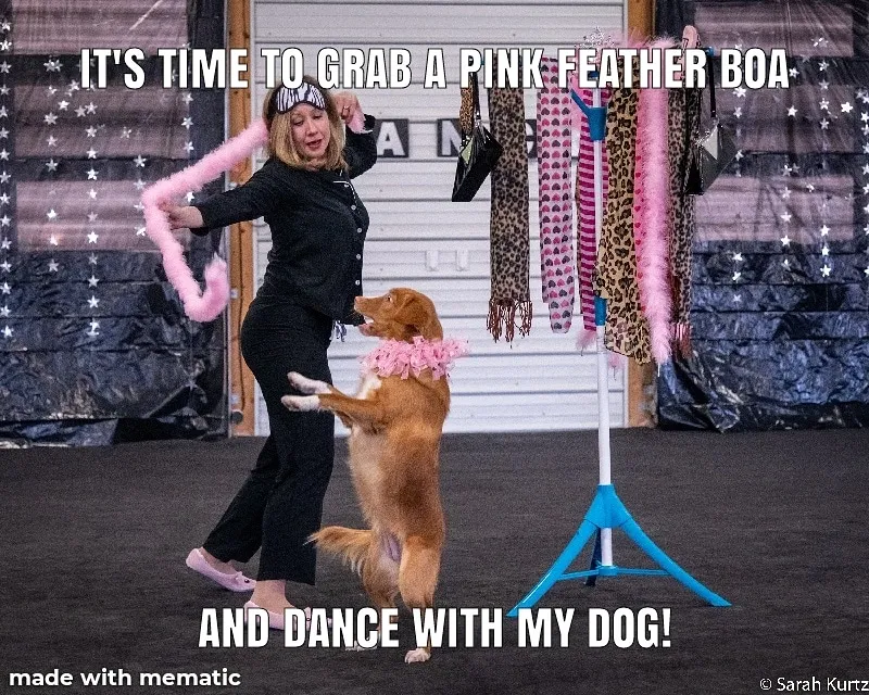 It's time to grab a pink feather boa and dance with my dog! - image of woman with pink feather boa dancing with dog