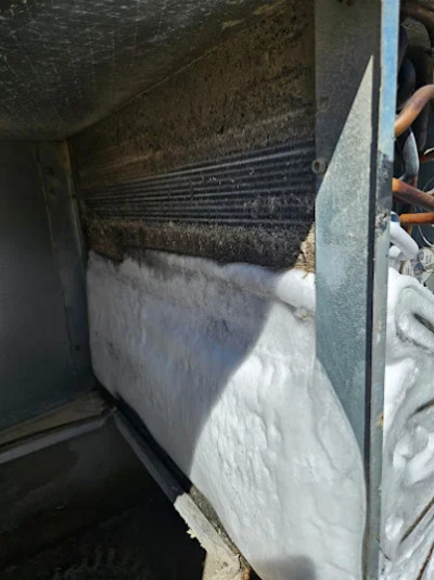 {{ custom_values.service_1 }} in {{custom_values.area_2})