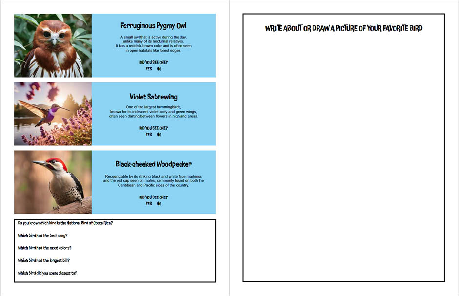 Costa Rica activity book — wildlife spotting spread