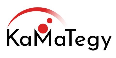 Kaufman Mayo Group Logo