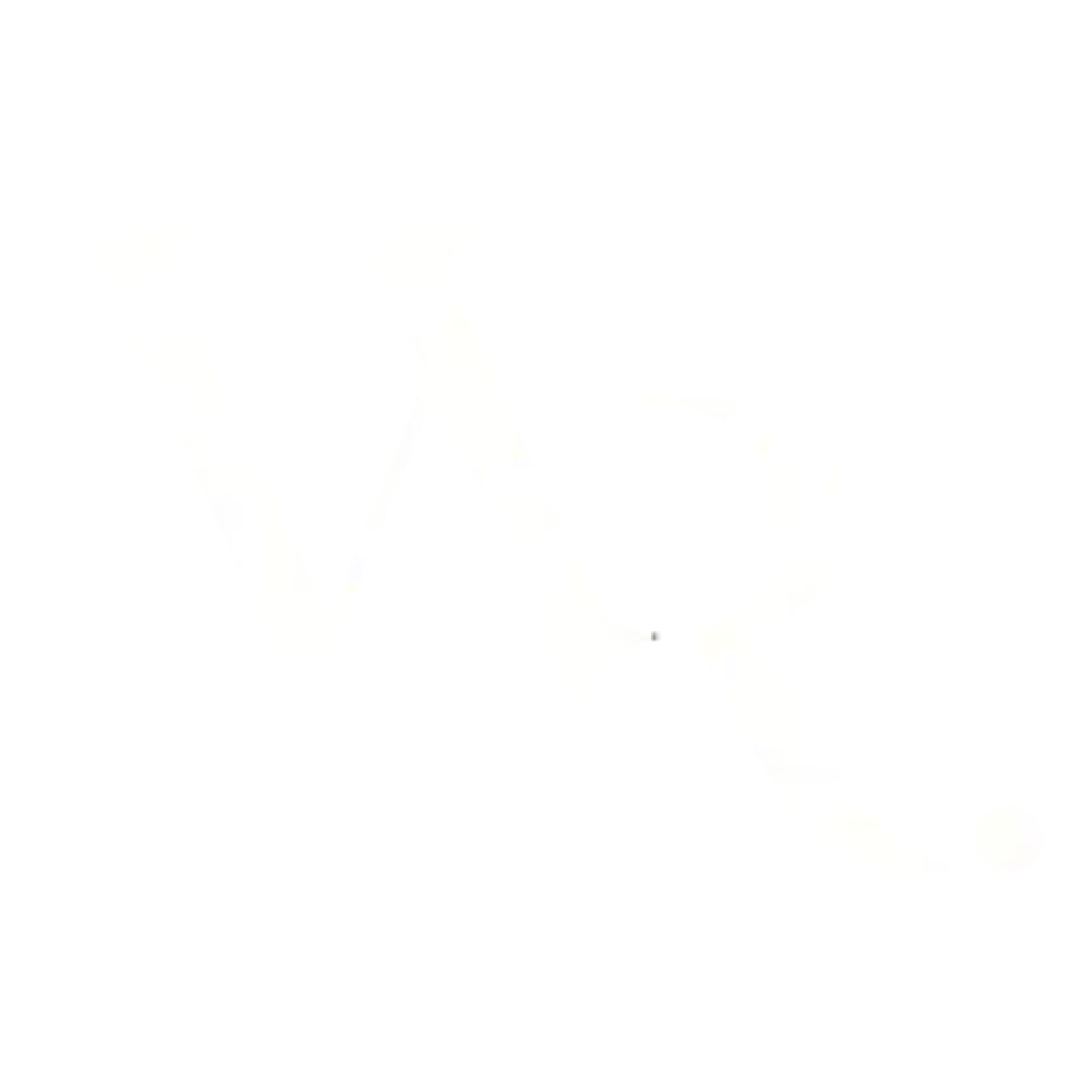 WR Immobilier logo