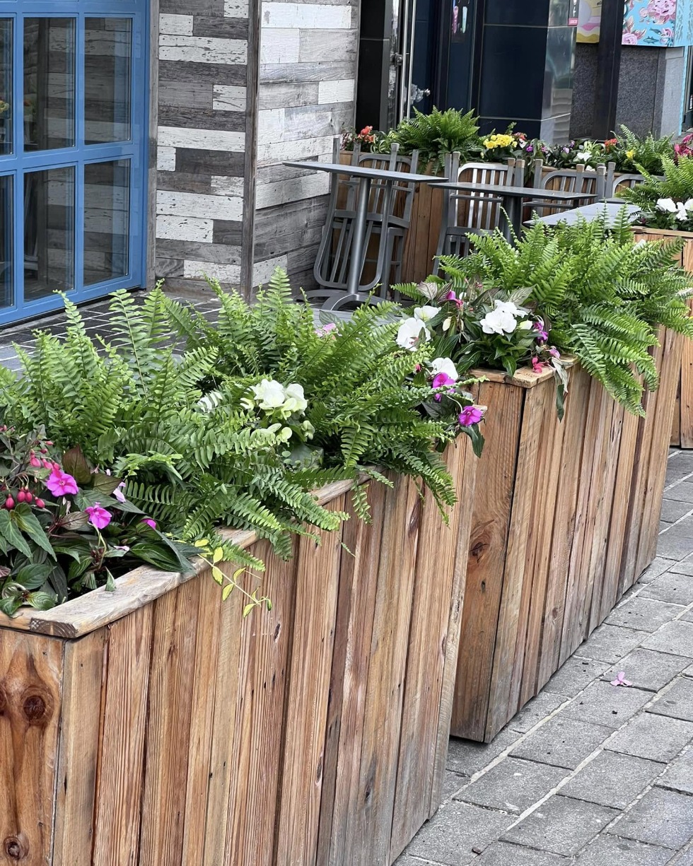 Spring Valley Gardening Services