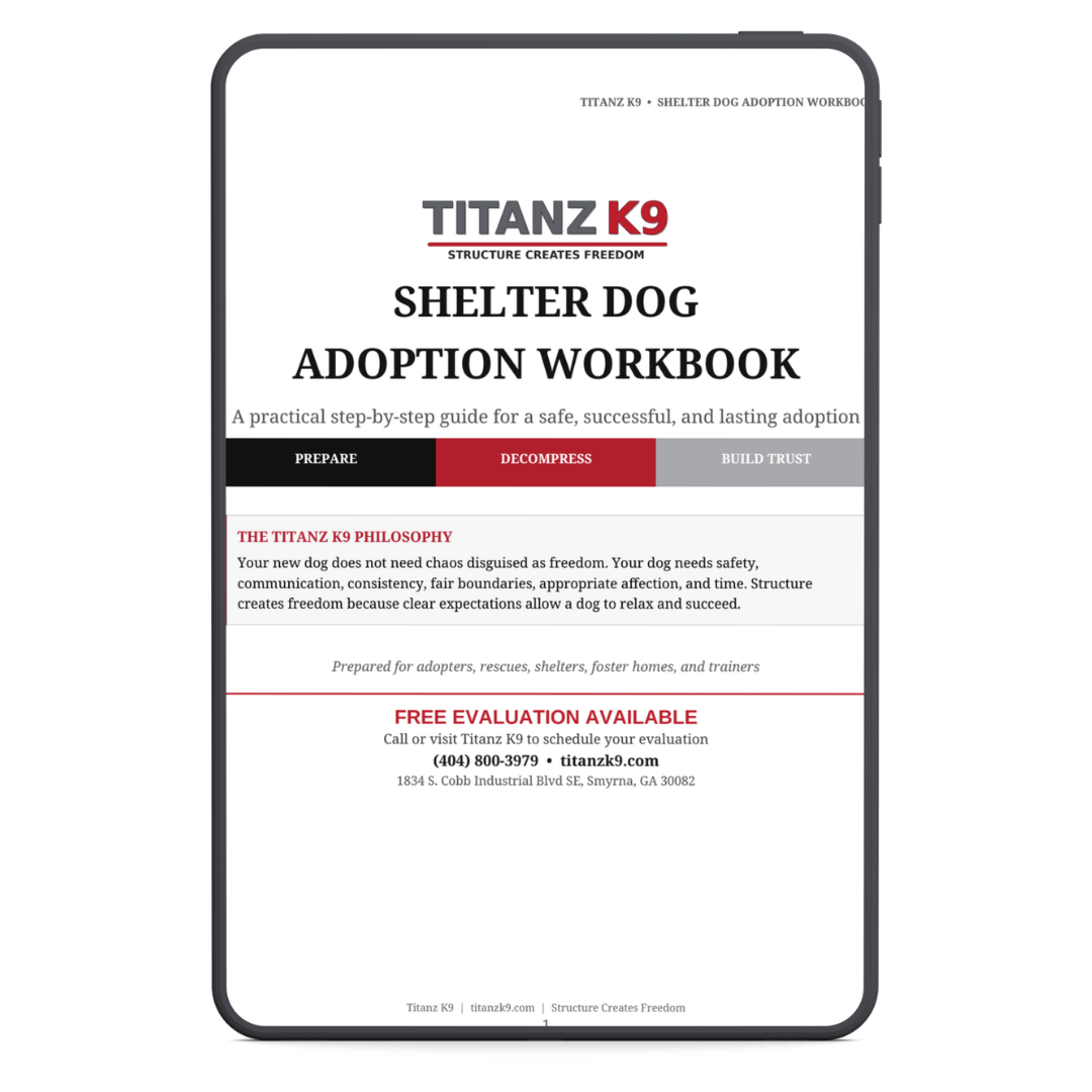 Shelter Dog Adoption Workbook mockup