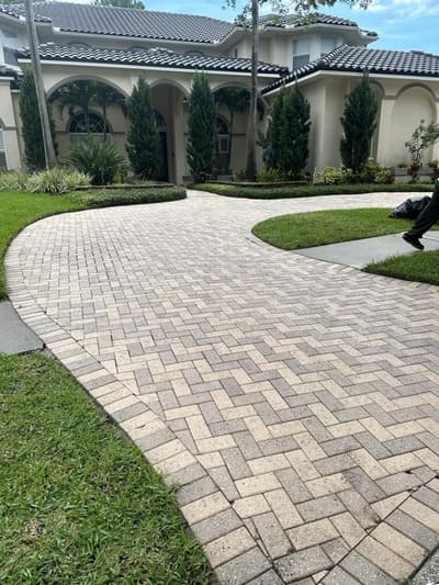 Tree trimming in Hillsborough County
