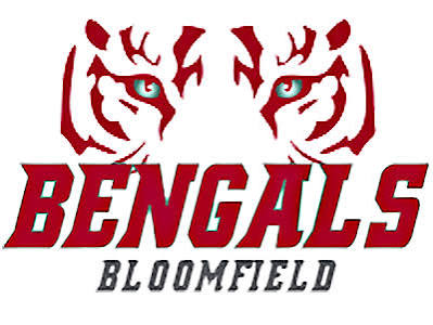 Program logo 11