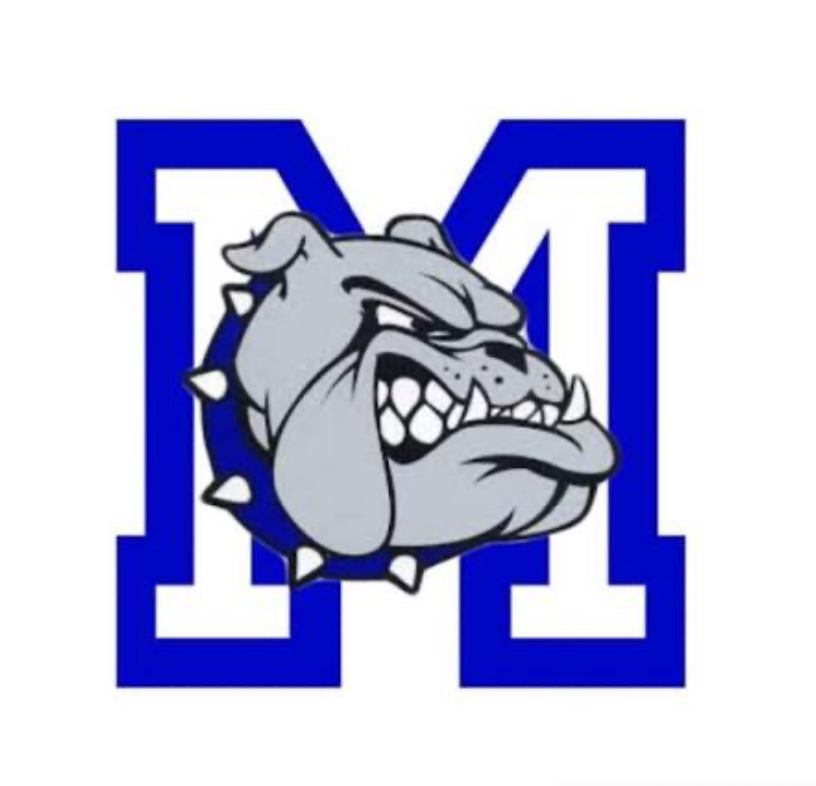 Program logo 4