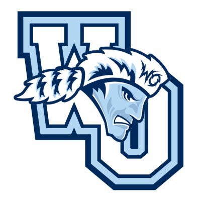 Program logo 6
