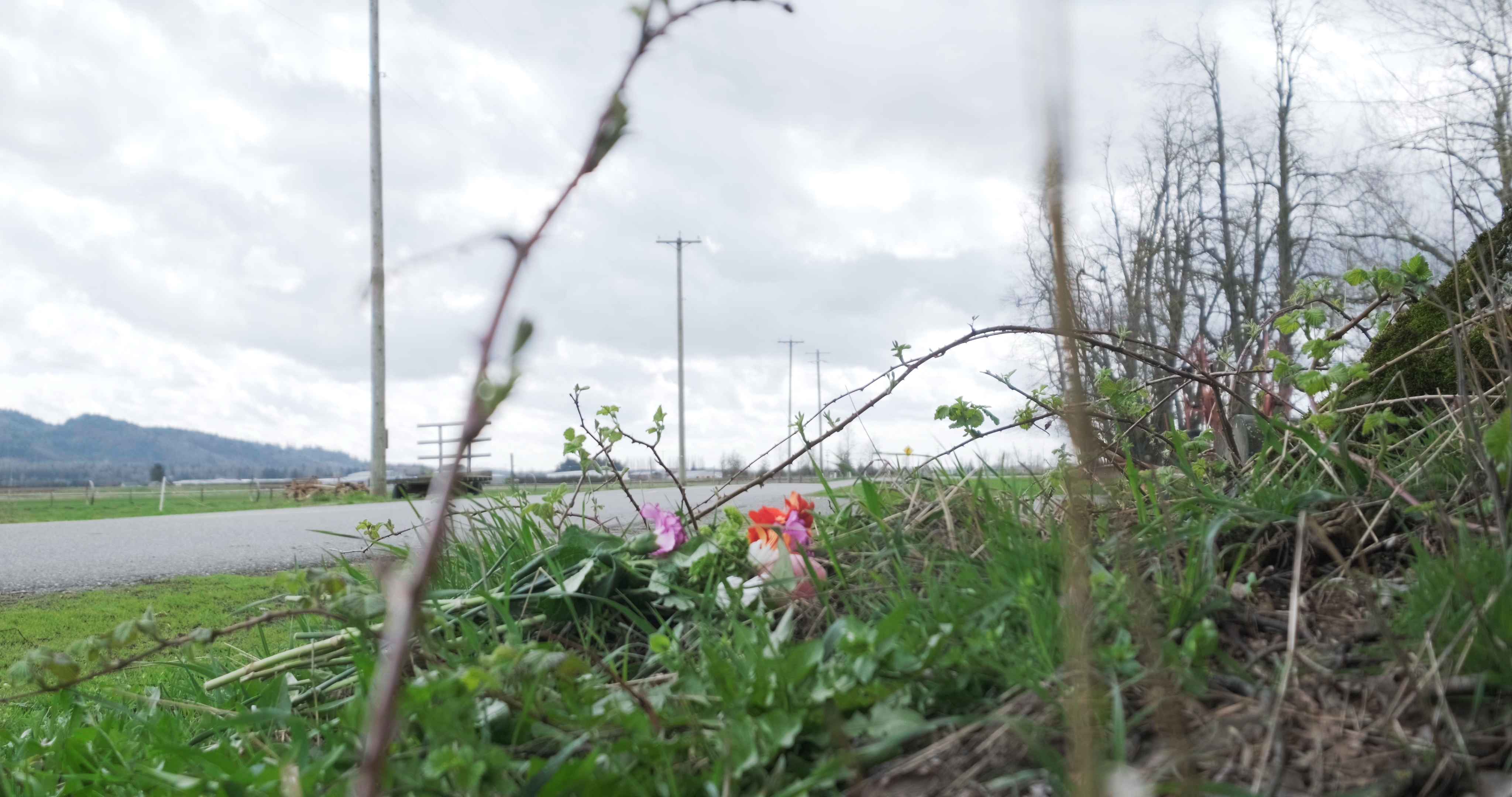 Blossoms and flowers in the grass at the roadside where the lynching took place