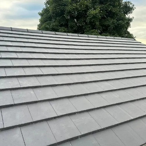 Recent roof project