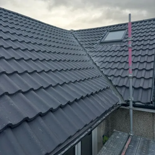 Recent roof project