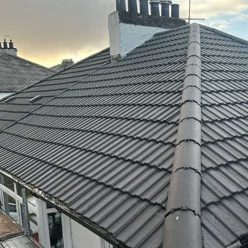 Recent roof project