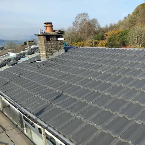 Recent roof project