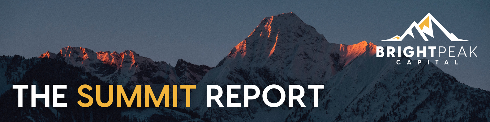 The Summit Report