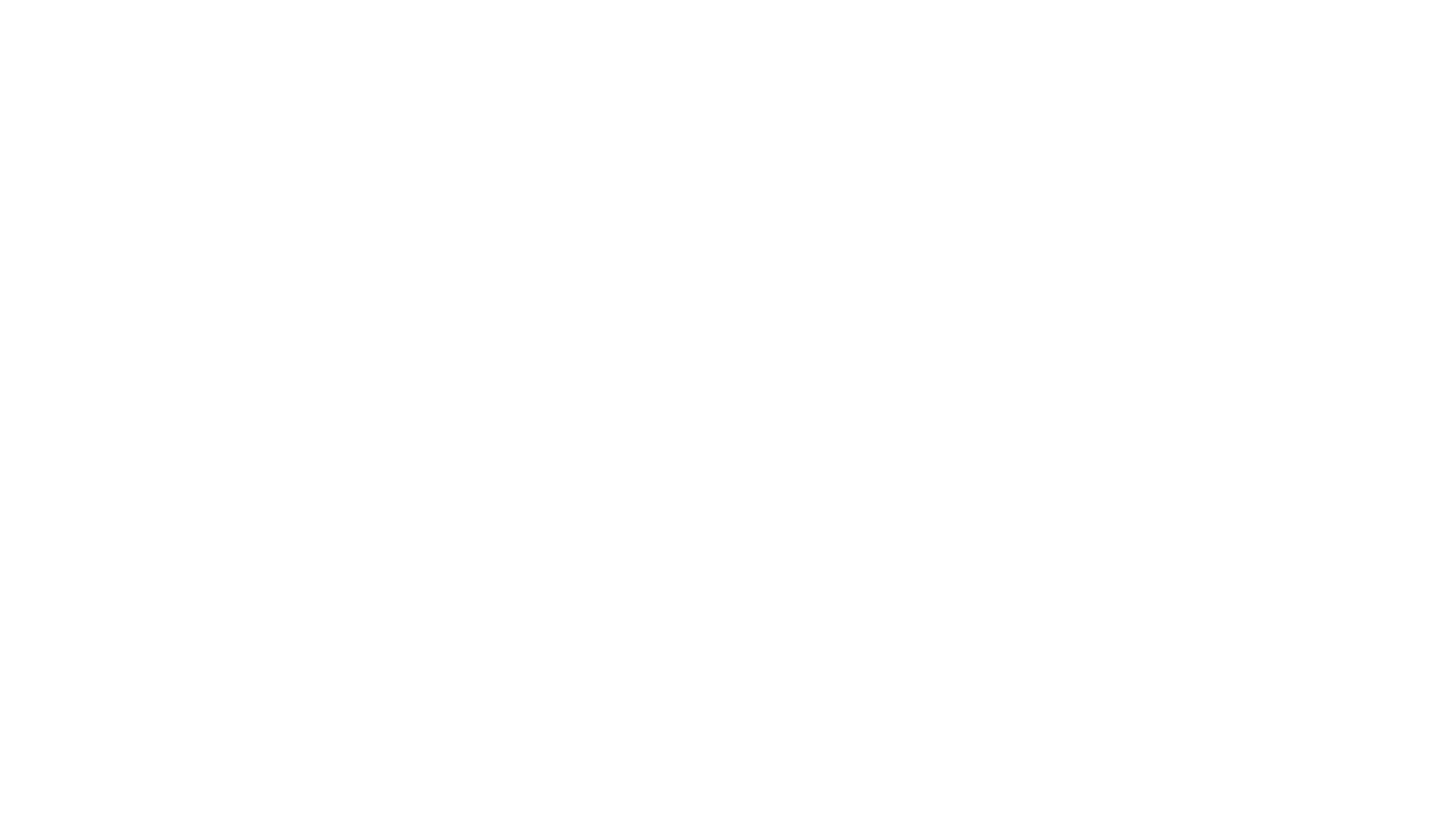 Crucero Experto Logo