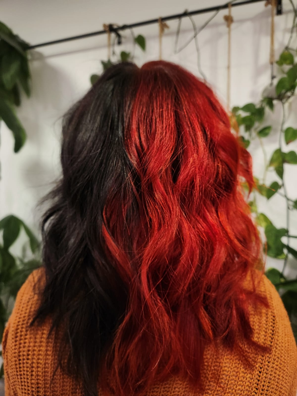 Hair transformation 3