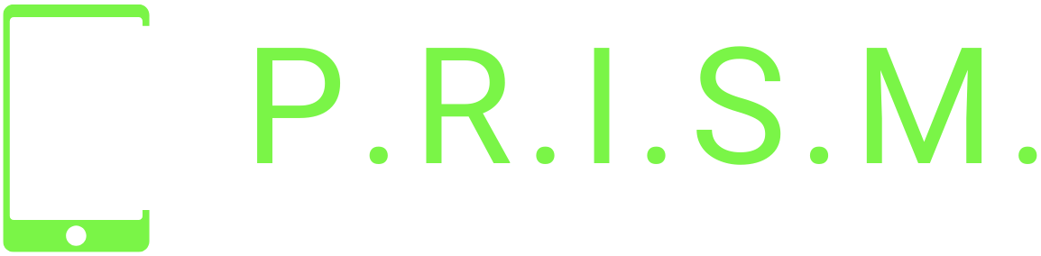 The Digital Escape System Logo