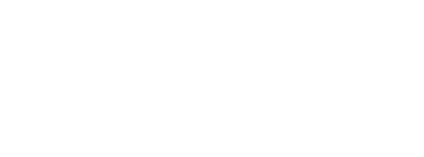 Aaron Alfini Signature