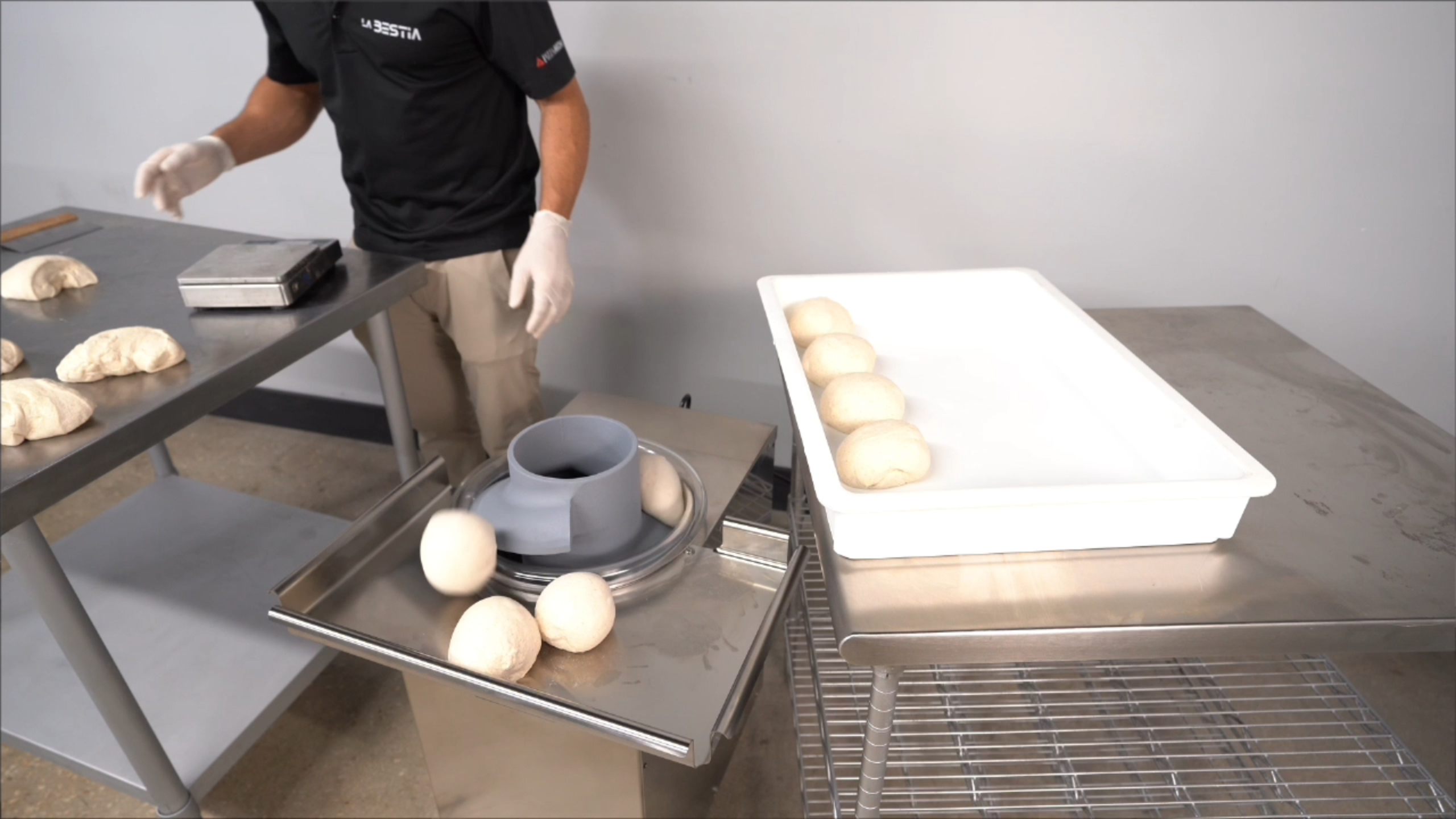 Test the Bullet Maxi Dough Rounder Test the Bullet Maxi Dough Rounder