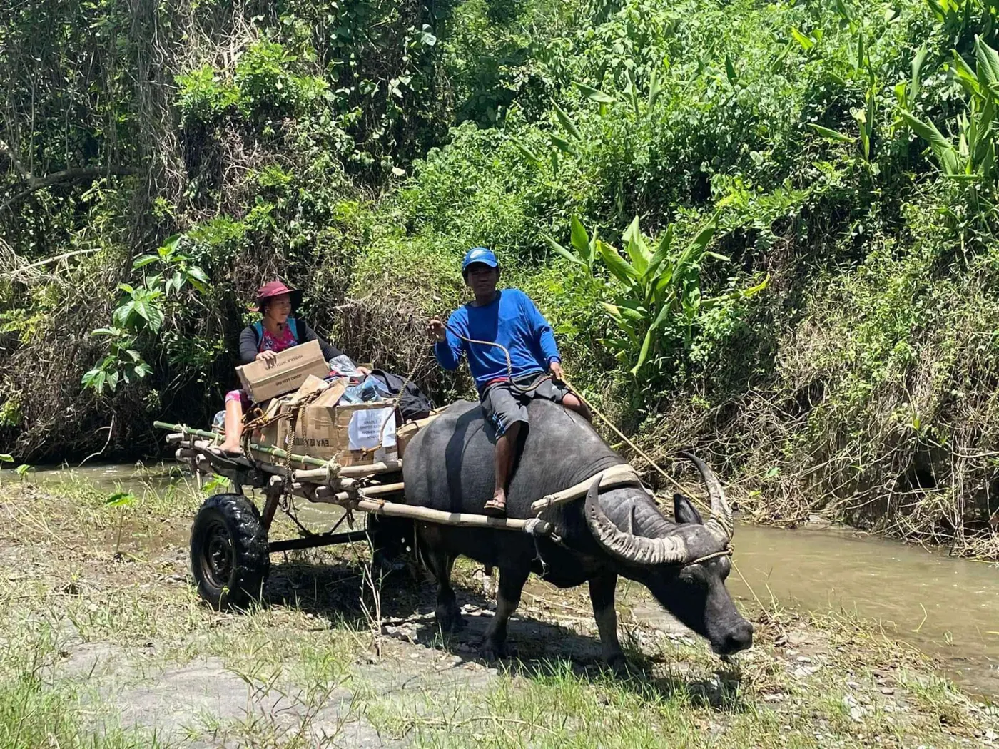 Carabao cart outreach