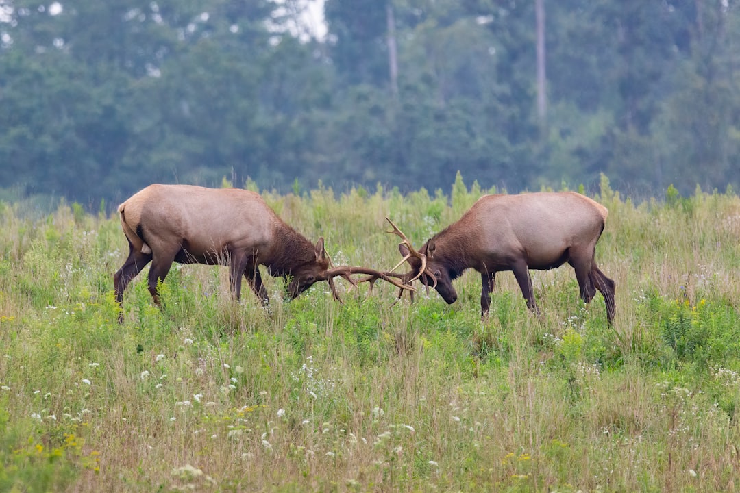 Rough up your sword.