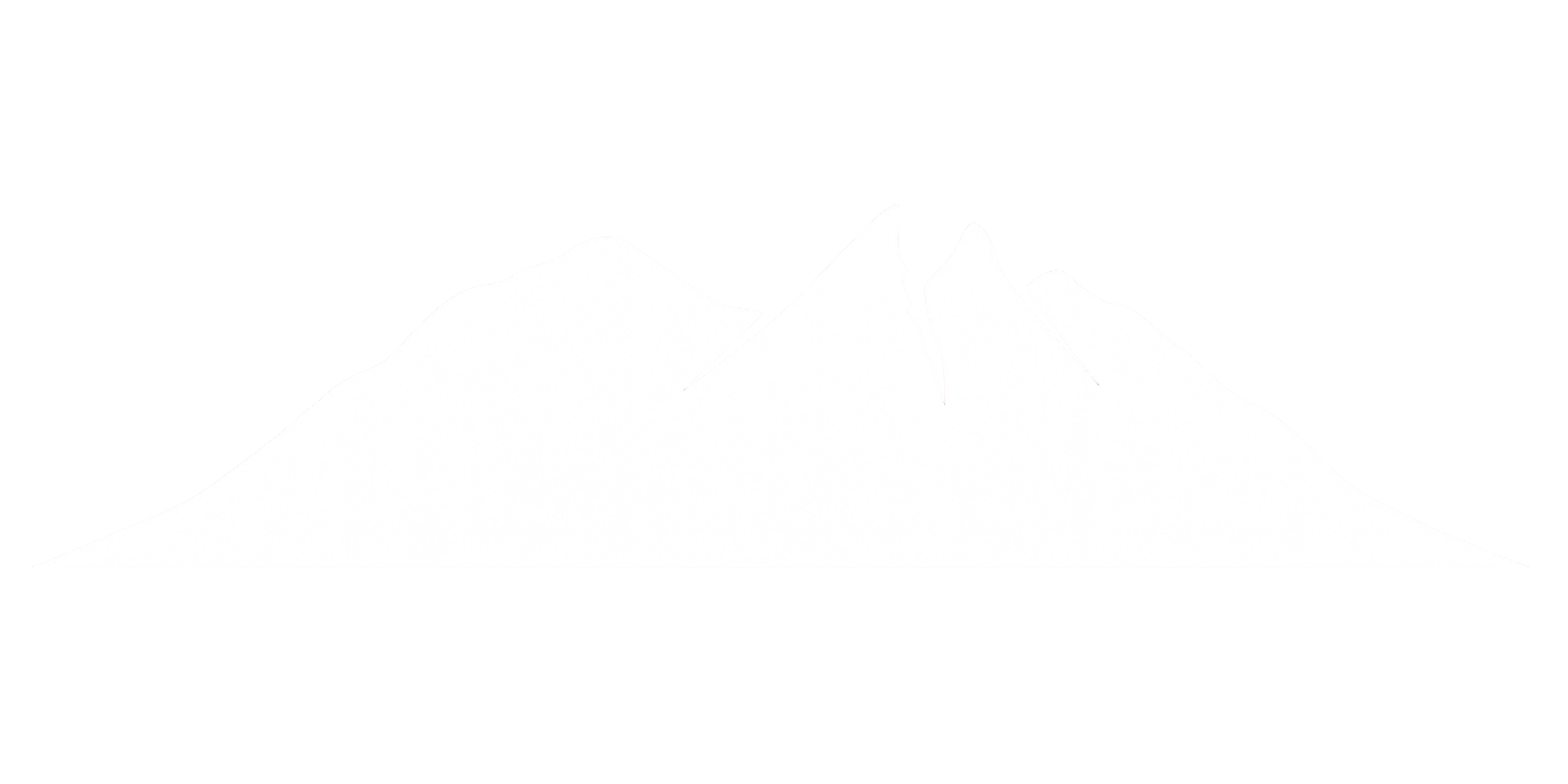 Saddlepoint Systems logo