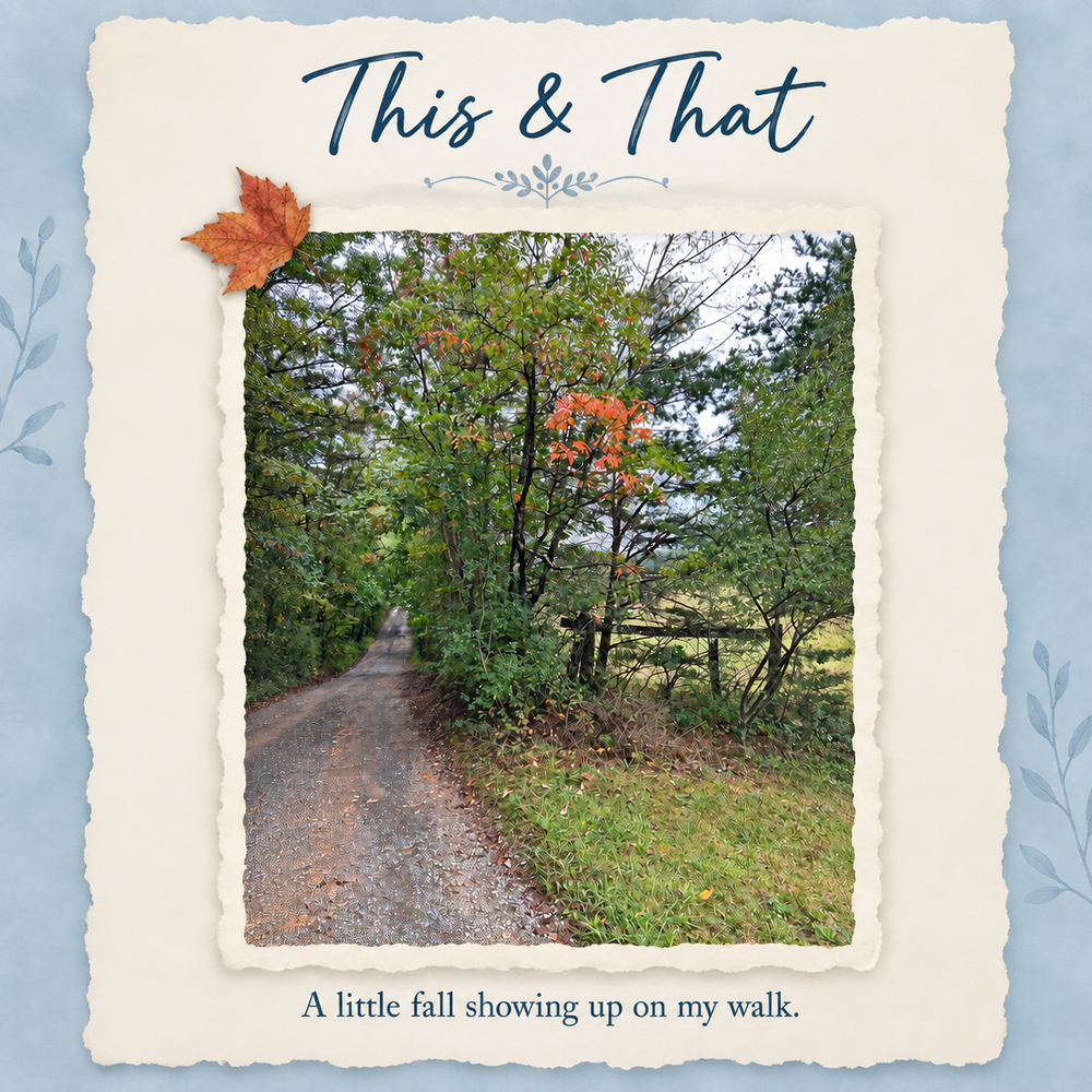 This & That — A little fall showing up on my walk