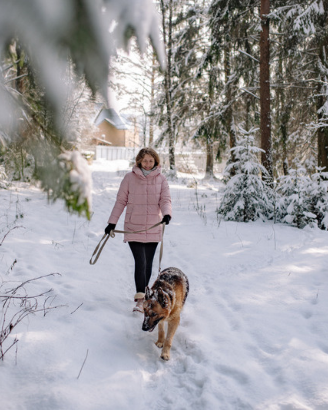 Femme qui marche avec son chien dans la neige