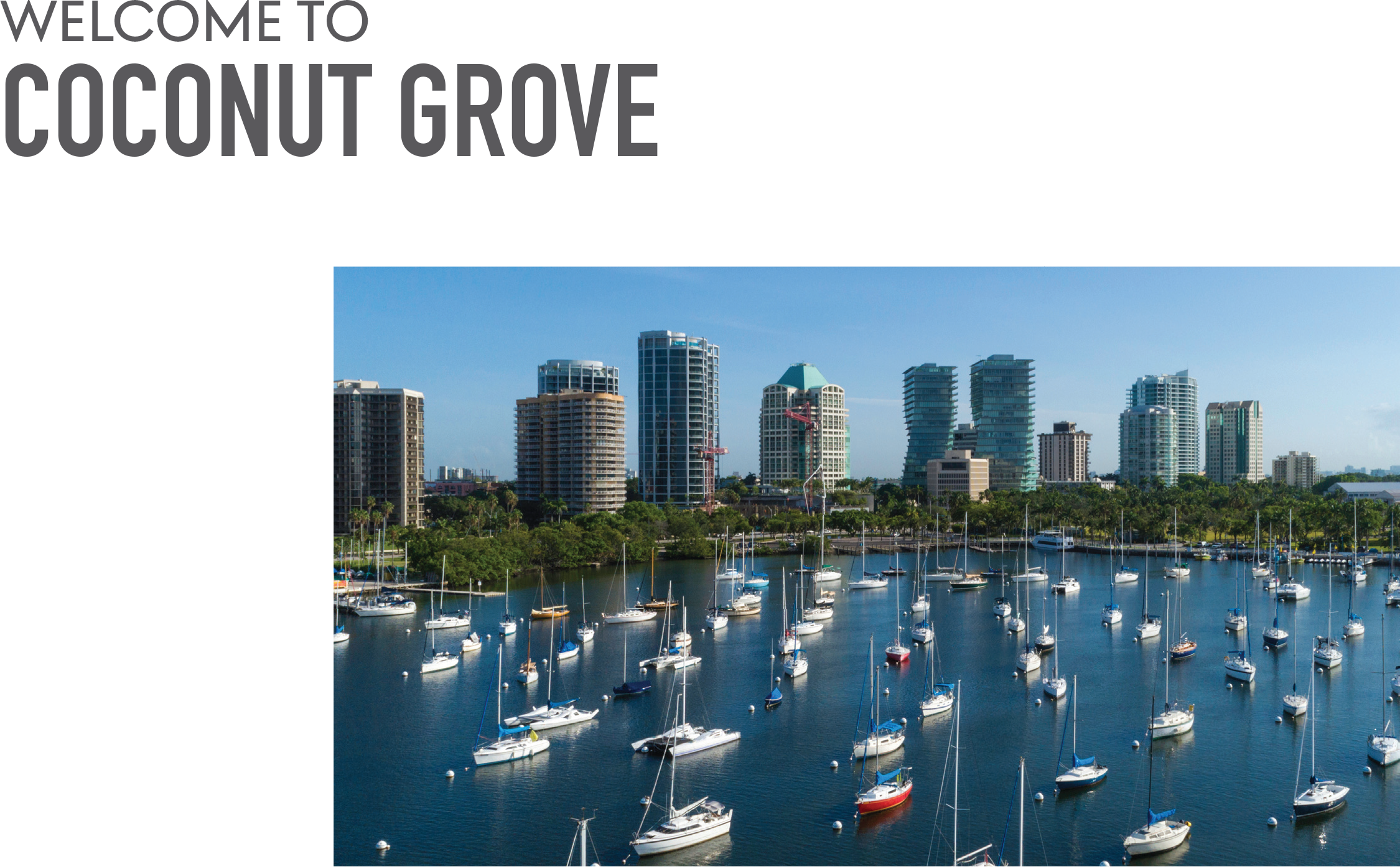 Aerial view of Coconut Grove marina with sailboats and high-rise buildings