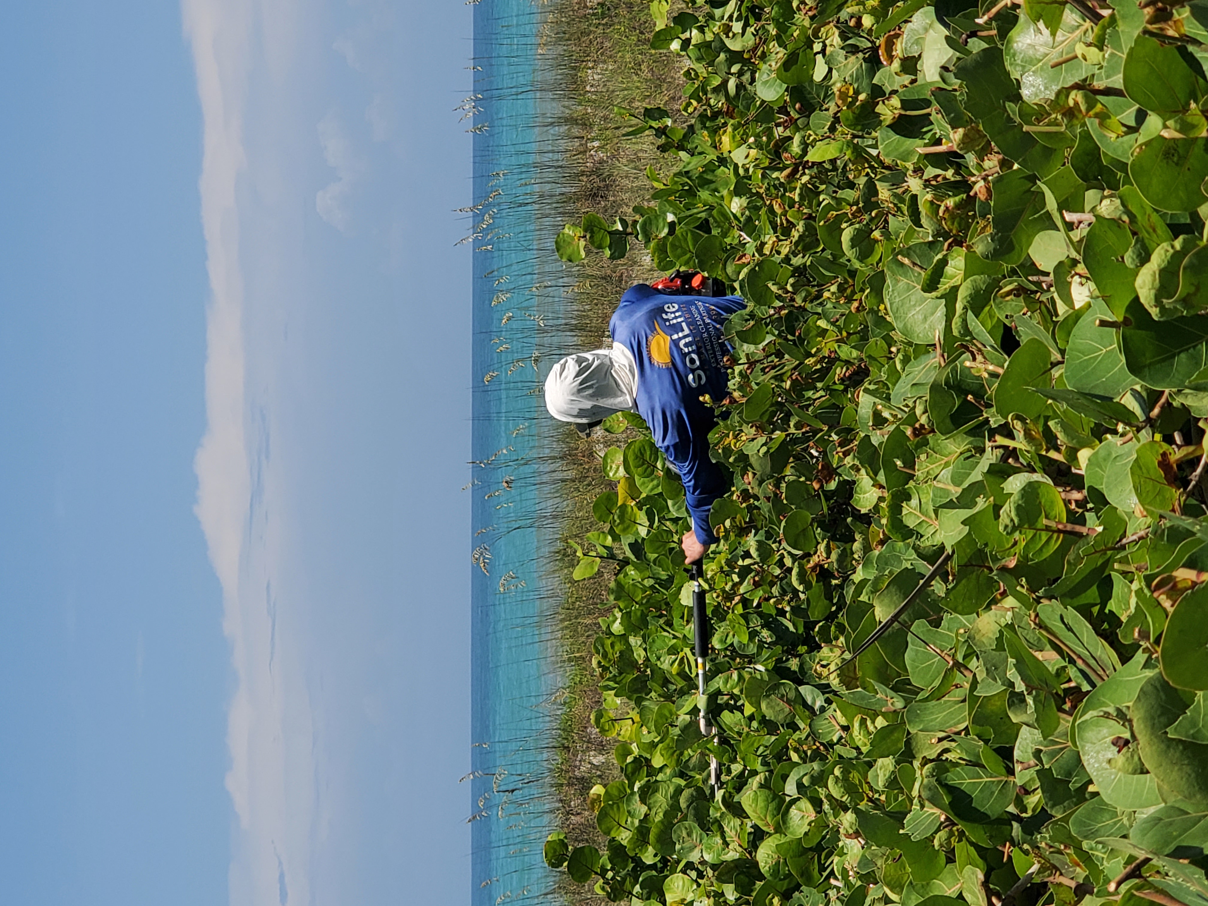 SonLife cleaning Cocoa Beach
