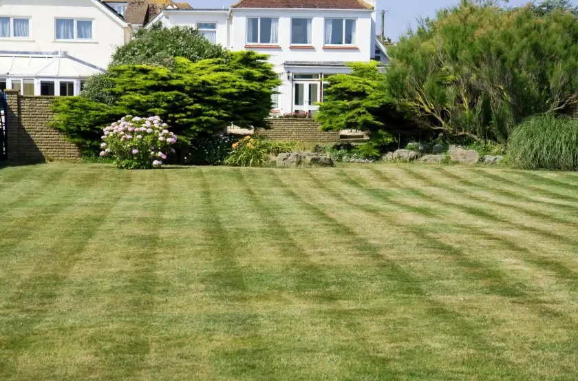  Soft Scape Garden Design & Maintenance