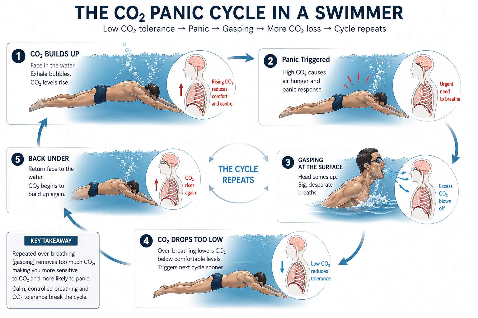 Module 1 - The CO2 panic cycle