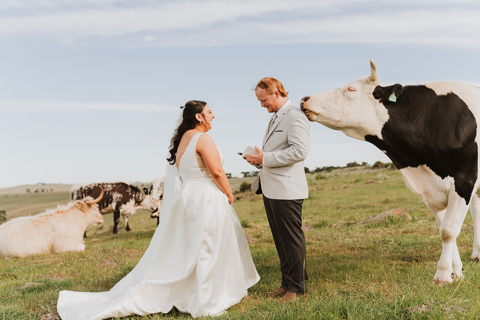 Wedding celebration in the paddock