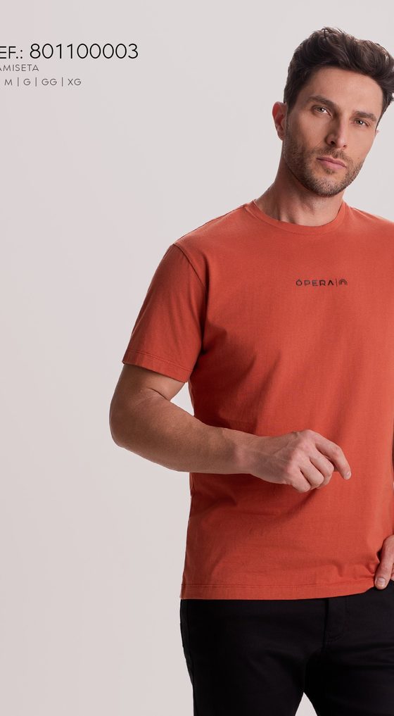 Camiseta Logo Bordado