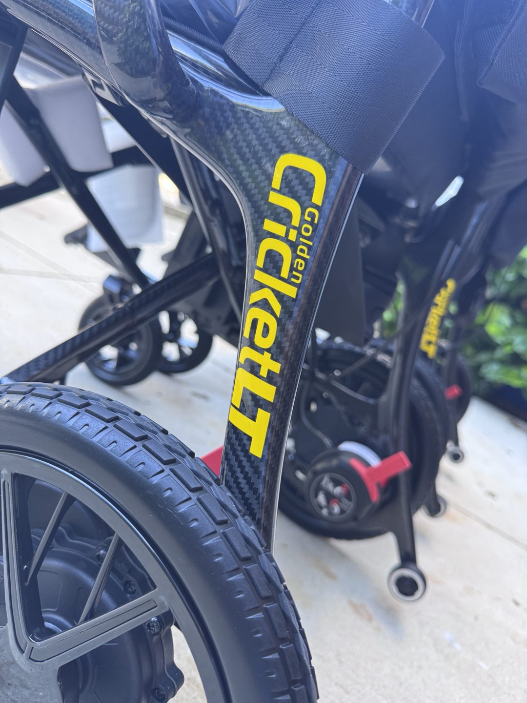 Close-up of the Golden Cricket LT carbon fiber frame