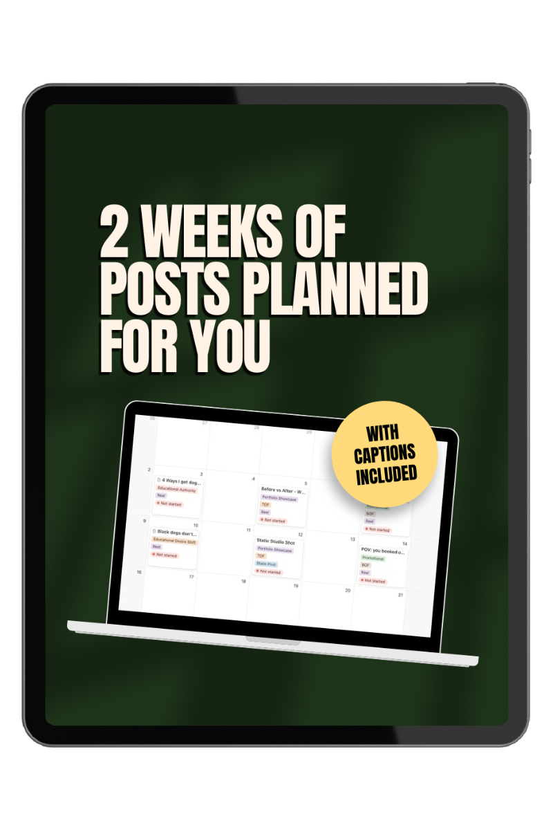 2 Weeks of Posts Planned For You