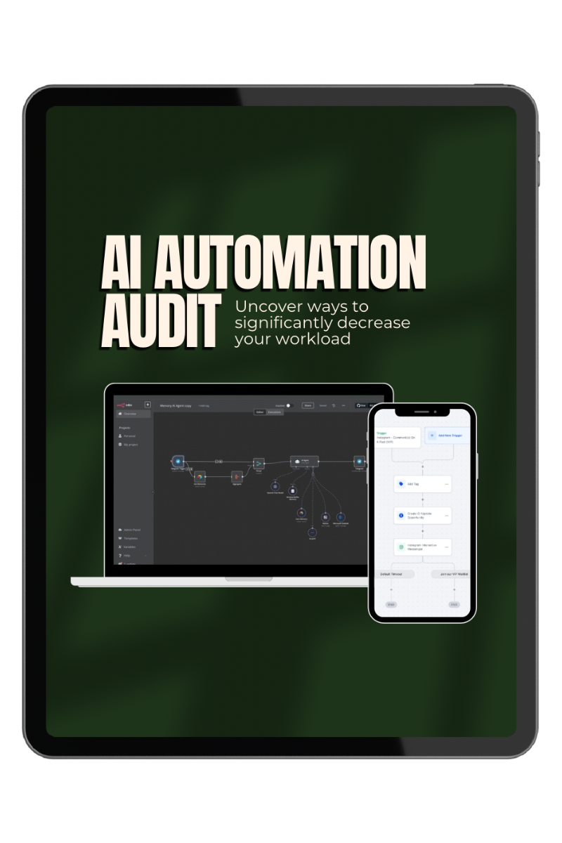 AI Automation Audit