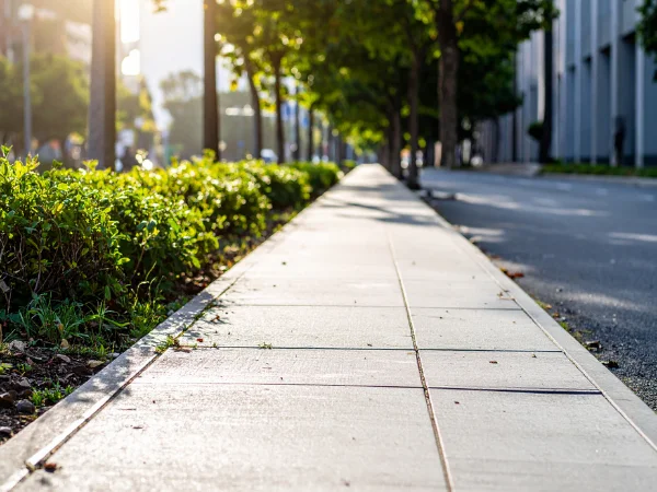 A sunlit sidewalk next to green hedges and a road, with trees and buildings blurred in the background.