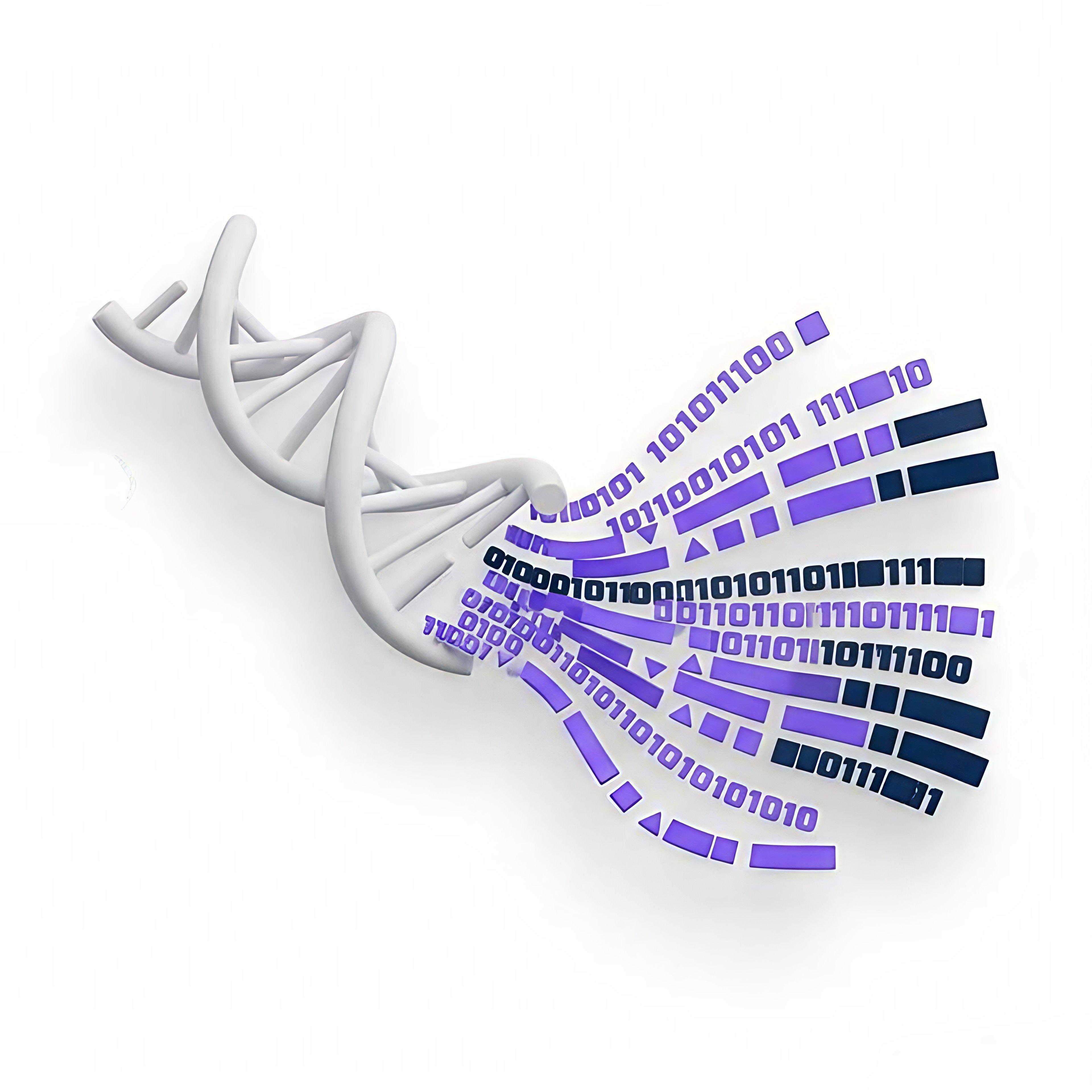 днк бинарен код