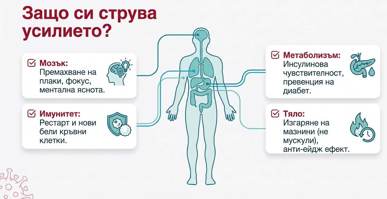 ползи от гладуването