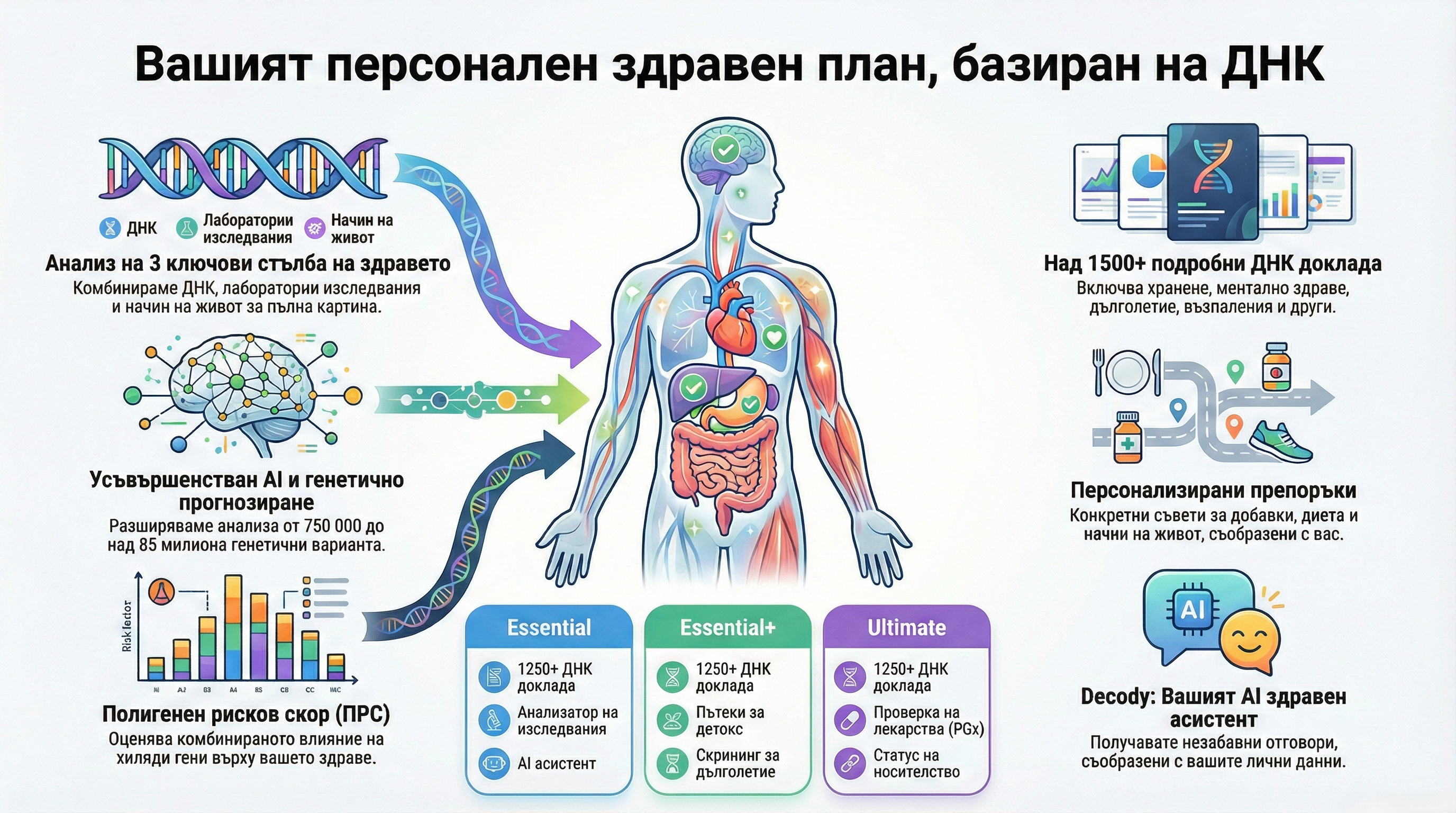 днк тест днк тест