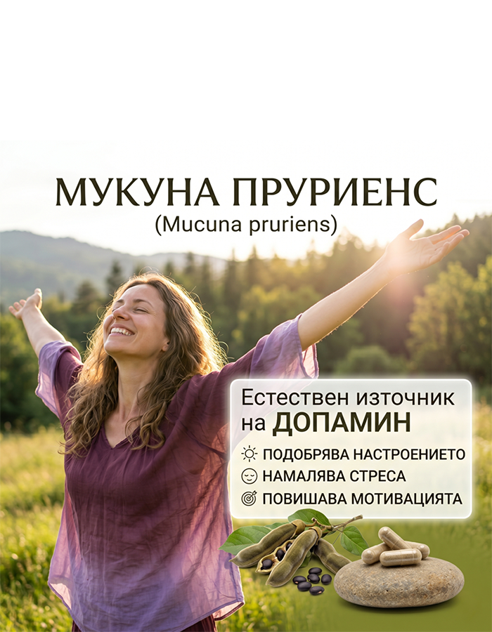 Мукуна Пруриенс (Mucuna pruriens) (Кавча): Естественият Бустер за Допамин и Щастие