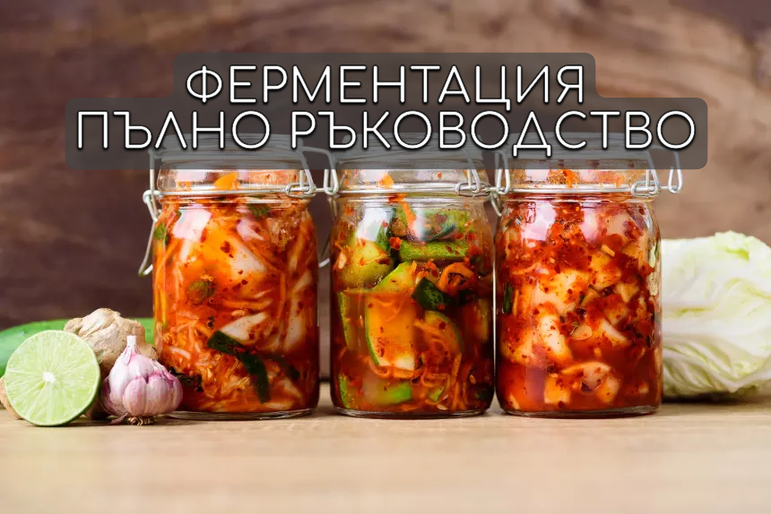 Ферментацията: пълният гайд за жива храна, силен микробиом и възстановяване след детокс