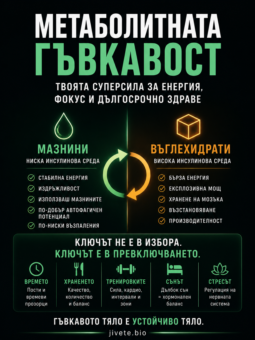 инфографика на метаболитната гъвкавост