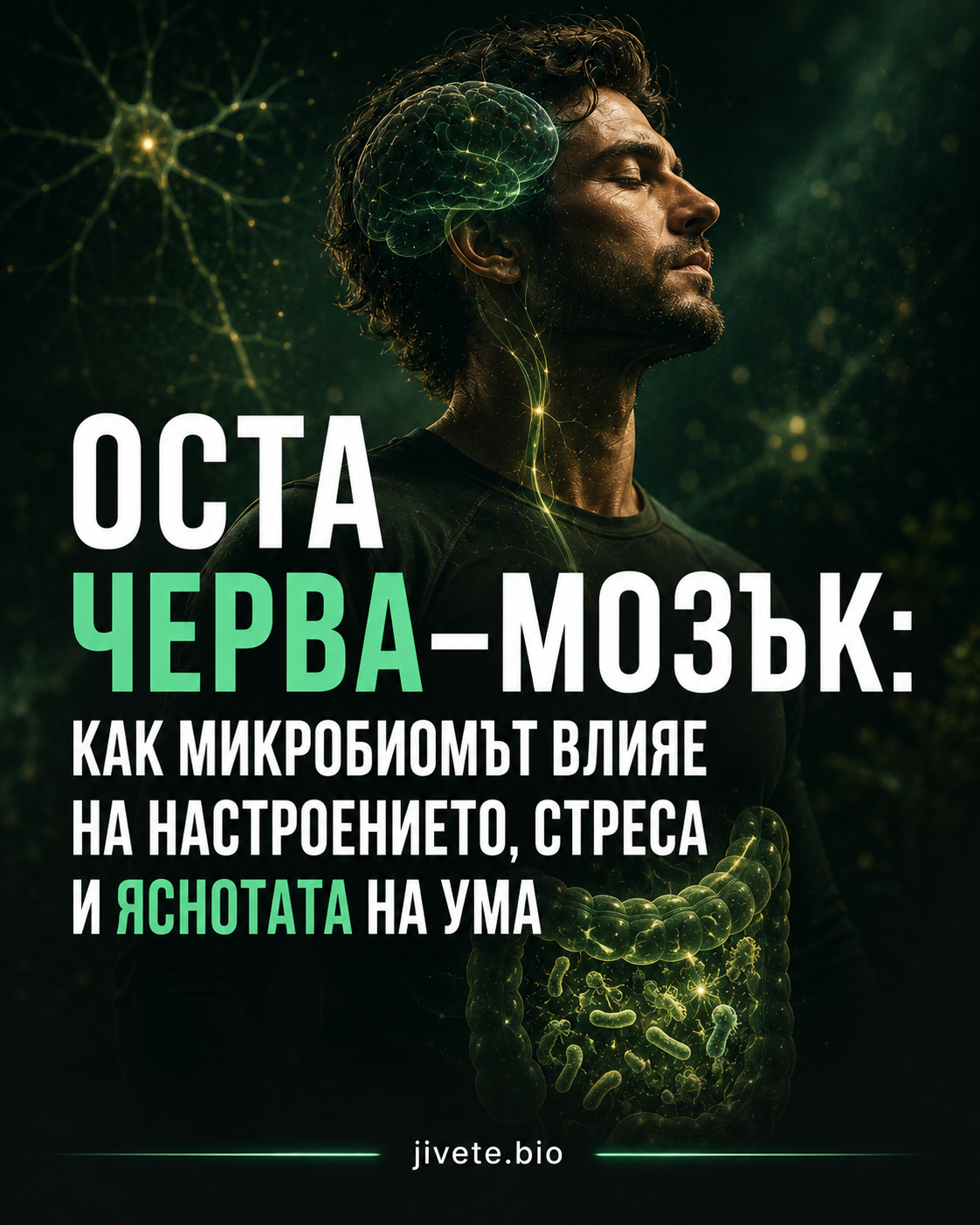Оста черва–мозък: как микробиомът влияе на настроението, стреса и яснотата на ума